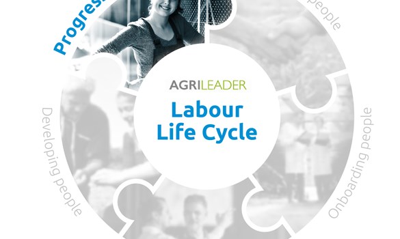Labour life cycle Progressing people piece
